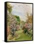 China Roses, Broadway-Alfred Parsons-Framed Stretched Canvas