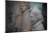 China, Shaanxi, Lintong District, Xian. the Terracotta Warriors-Janis Miglavs-Mounted Photographic Print