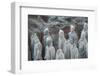 China, Shaanxi, Lintong District, Xian. the Terracotta Warriors-Janis Miglavs-Framed Photographic Print