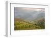 China, Shaanxi. Vineyards in the Qinlin Mountain Range and Valley-Janis Miglavs-Framed Photographic Print