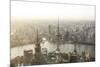 China, Shanghai. Elevated View of the City from World Financial Center Tower-Matteo Colombo-Mounted Photographic Print