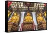 China, Shanghai. Jade Buddha Temple.-Rob Tilley-Framed Stretched Canvas