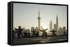 China, Shanghai, Martial Arts Group Practicing Tai Chi at Dawn-Paul Souders-Framed Stretched Canvas