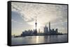 China, Shanghai. Pudong Business District Cityscape at Sunrise-Matteo Colombo-Framed Stretched Canvas