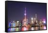 China, Shanghai, The Bund, Pudong Skyline across the Huangpu River-Steve Vidler-Framed Stretched Canvas