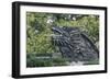 China, Shanghai. Yu Garden dragon.-Rob Tilley-Framed Photographic Print