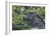 China, Shanghai. Yu Garden dragon.-Rob Tilley-Framed Photographic Print