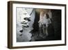 China, Shanxi Province, Sandstone Statue of Buddha in Yungang Grottoes-null-Framed Giclee Print