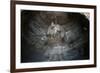 China, Shanxi Province, Sandstone Statue of Buddha in Yungang Grottoes-null-Framed Giclee Print