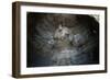 China, Shanxi Province, Sandstone Statue of Buddha in Yungang Grottoes-null-Framed Giclee Print