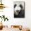 China, Sichuan, Chengdu, Giant Panda Bear Feeding on Bamboo Shoots-Paul Souders-Mounted Premium Photographic Print displayed on a wall