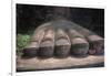 China, Sichuan, Leshan, Foot of Leshan Giant Buddha Statue at Mount Emei Scenic Area-null-Framed Giclee Print