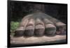 China, Sichuan, Leshan, Foot of Leshan Giant Buddha Statue at Mount Emei Scenic Area-null-Framed Giclee Print