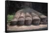 China, Sichuan, Leshan, Foot of Leshan Giant Buddha Statue at Mount Emei Scenic Area-null-Framed Stretched Canvas