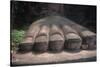 China, Sichuan, Leshan, Foot of Leshan Giant Buddha Statue at Mount Emei Scenic Area-null-Stretched Canvas