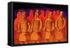 China Terracotta Army- Xian-John Newcomb-Framed Stretched Canvas