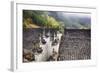 China, Xing Ping-Terry Eggers-Framed Photographic Print