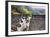 China, Xing Ping-Terry Eggers-Framed Photographic Print