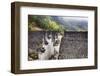 China, Xing Ping-Terry Eggers-Framed Photographic Print