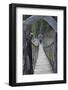 China, Xinjiang. a Tourist Crosses a Foot Bridge in Heaven Lake-Janis Miglavs-Framed Photographic Print