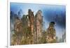 China, Zhangjiajie, Wulingyuan Scenic Area, Zhangjiajie National Forest Park-Tuul And Bruno Morandi-Framed Photographic Print