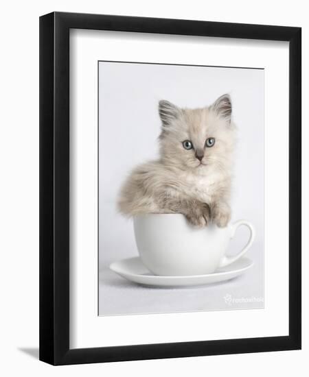 China-Rachael Hale-Framed Art Print