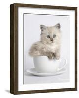 China-Rachael Hale-Framed Art Print