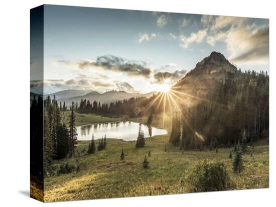 Stretched Canvas Print, , large