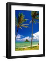 Chinamens Hat in Kaneohe Bay, Hawaii-George Oze-Framed Photographic Print