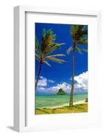 Chinamens Hat in Kaneohe Bay, Hawaii-George Oze-Framed Photographic Print