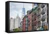 Chinatown of New York City, Ny, USA-Julien McRoberts-Framed Stretched Canvas