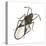 Chinch Bug (Blissus Leucopterus), Insects-Encyclopaedia Britannica-Stretched Canvas