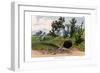 Chinchilla, 1860-null-Framed Giclee Print