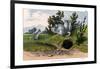 Chinchilla, 1860-null-Framed Giclee Print