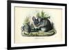 Chinchilla, 1863-79-Raimundo Petraroja-Framed Giclee Print