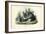 Chinchilla, 1863-79-Raimundo Petraroja-Framed Giclee Print