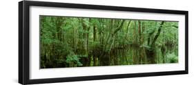 Chincoteague National Wildlife Refuge, Barrier Islands, Chincoteague, VA USA-null-Framed Photographic Print