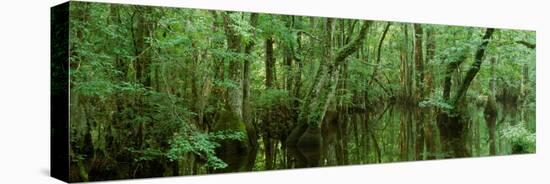 Chincoteague National Wildlife Refuge, Barrier Islands, Chincoteague, VA USA-null-Stretched Canvas