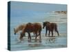 Chincoteague Ponies-Chuck Larivey-Stretched Canvas