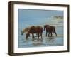 Chincoteague Ponies-Chuck Larivey-Framed Art Print