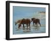 Chincoteague Ponies-Chuck Larivey-Framed Art Print