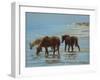 Chincoteague Ponies-Chuck Larivey-Framed Art Print