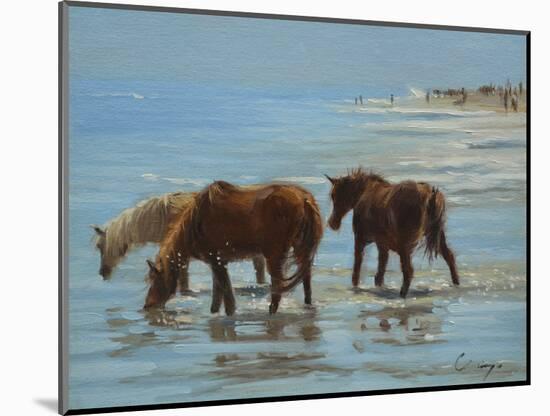 Chincoteague Ponies-Chuck Larivey-Mounted Art Print