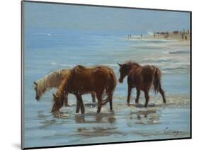 Chincoteague Ponies-Chuck Larivey-Mounted Art Print