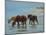 Chincoteague Ponies-Chuck Larivey-Mounted Art Print