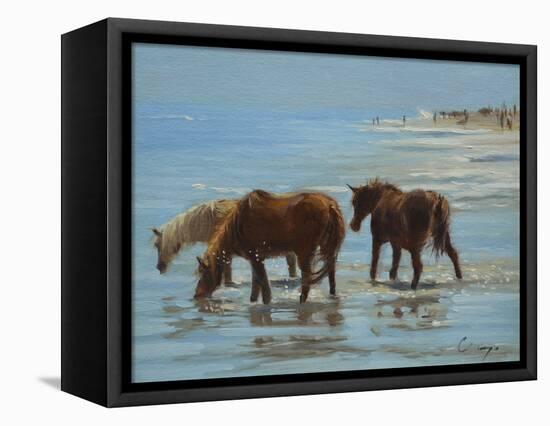 Chincoteague Ponies-Chuck Larivey-Framed Stretched Canvas