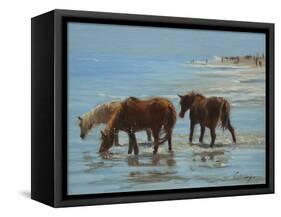 Chincoteague Ponies-Chuck Larivey-Framed Stretched Canvas