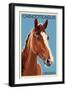 Chincoteague, Virginia - Horse-Lantern Press-Framed Premium Giclee Print