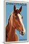 Chincoteague, Virginia - Horse-Lantern Press-Mounted Premium Giclee Print