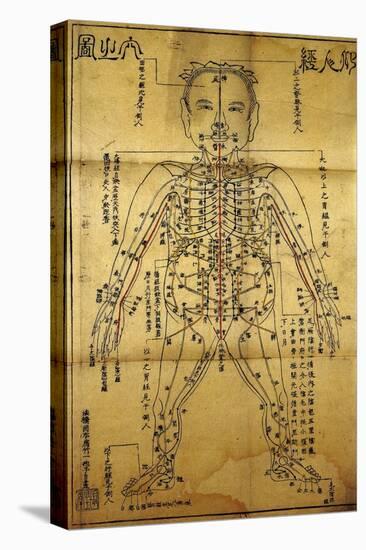 Chinese Acupuncture Chart Printed In Japan-Okamoto Ippo-Stretched Canvas